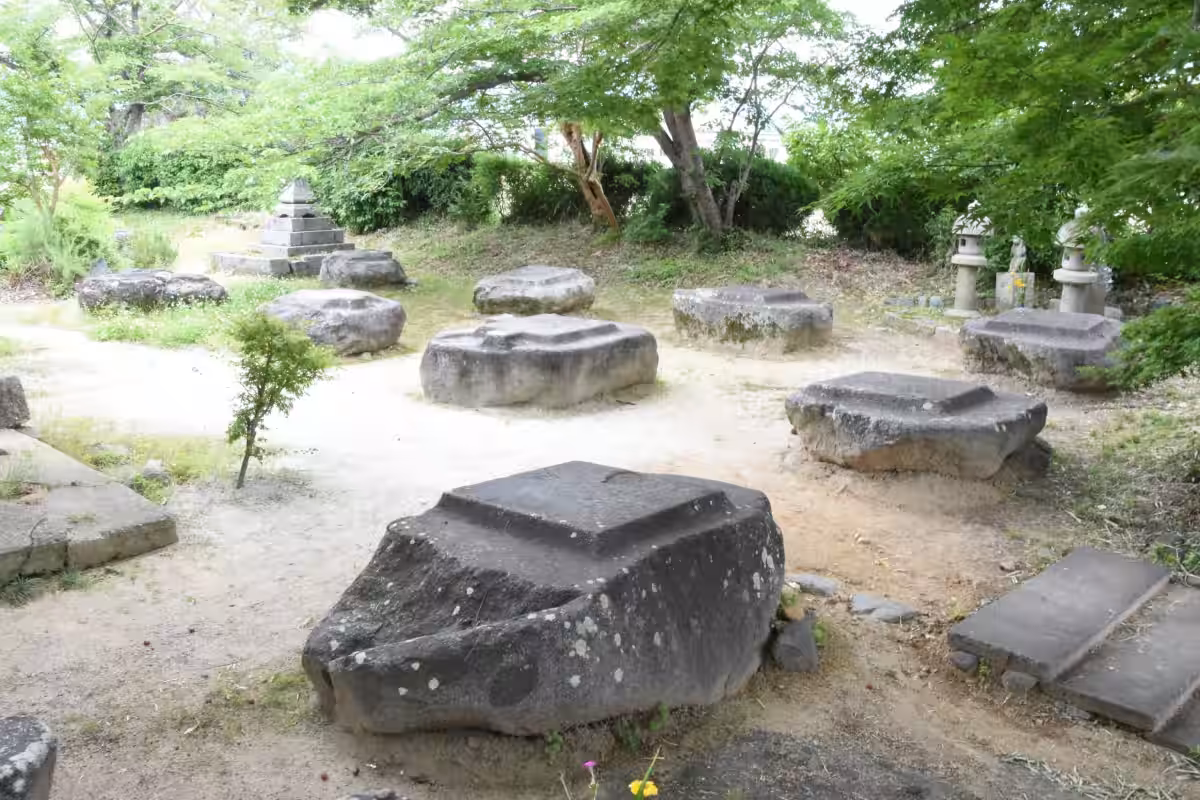 画像4