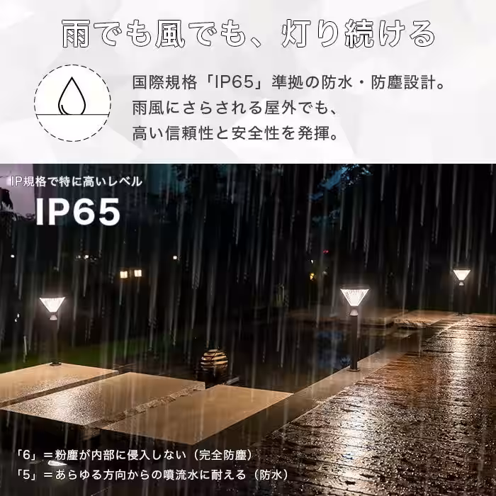 画像9