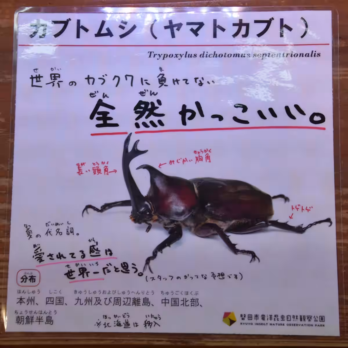 画像9