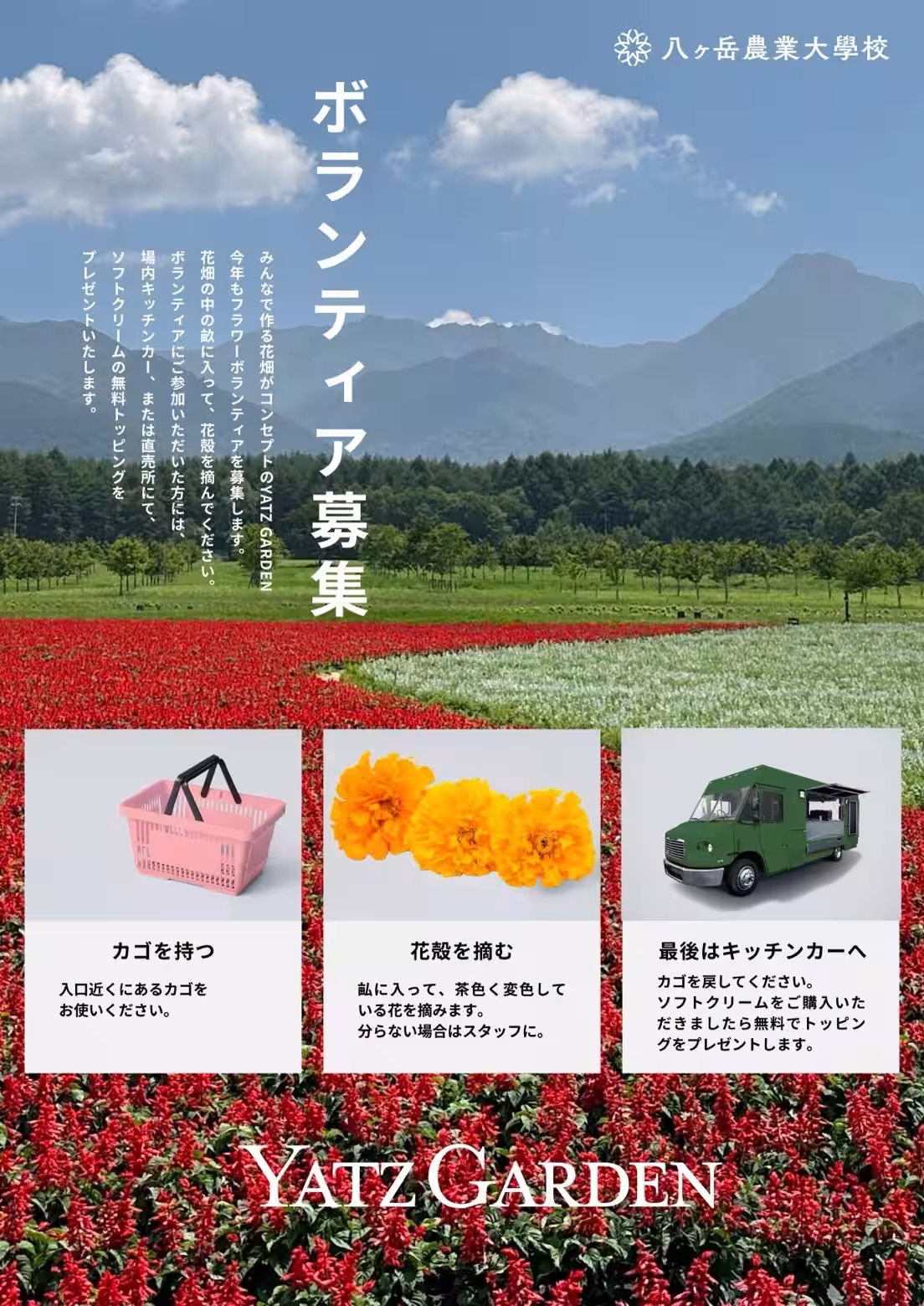 画像19