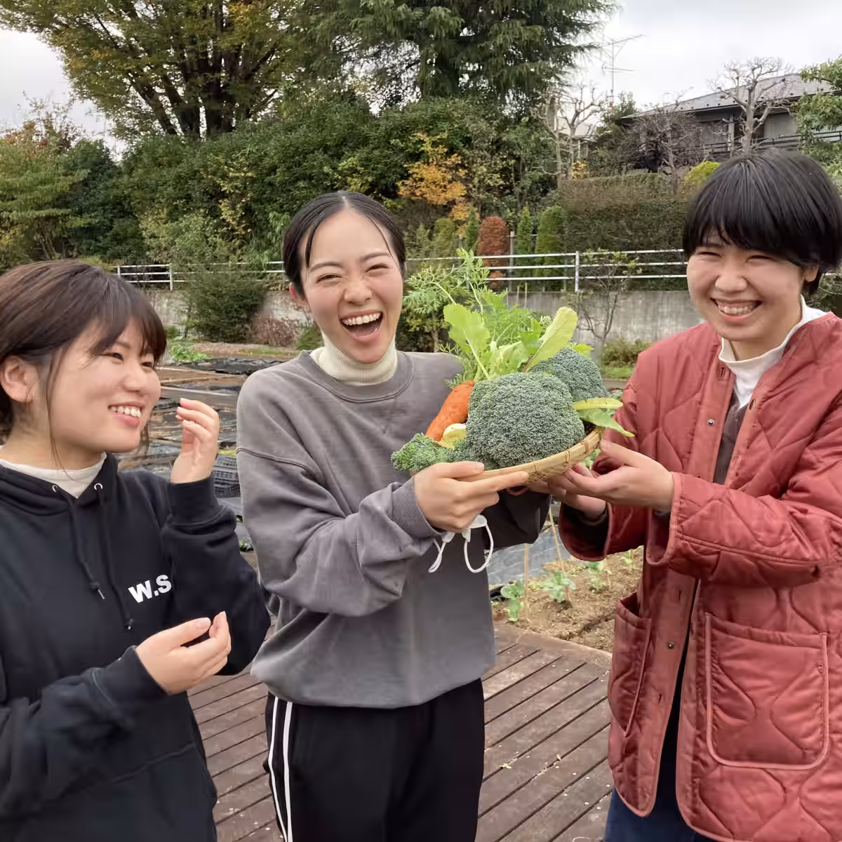 画像25