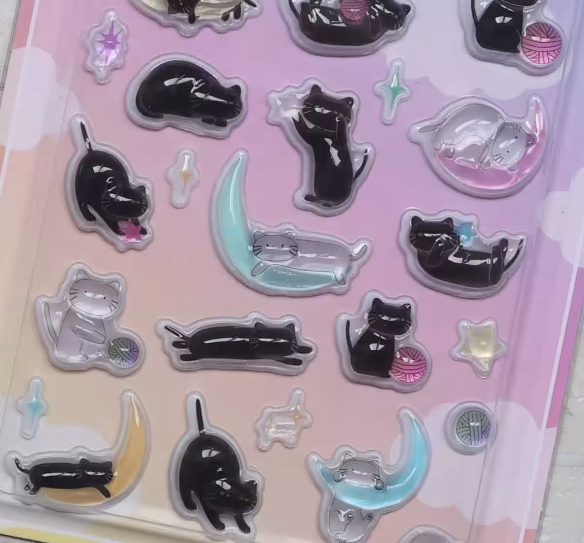 画像7