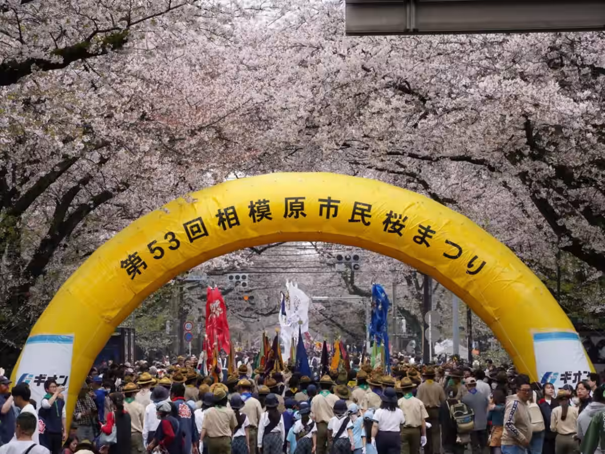 画像6