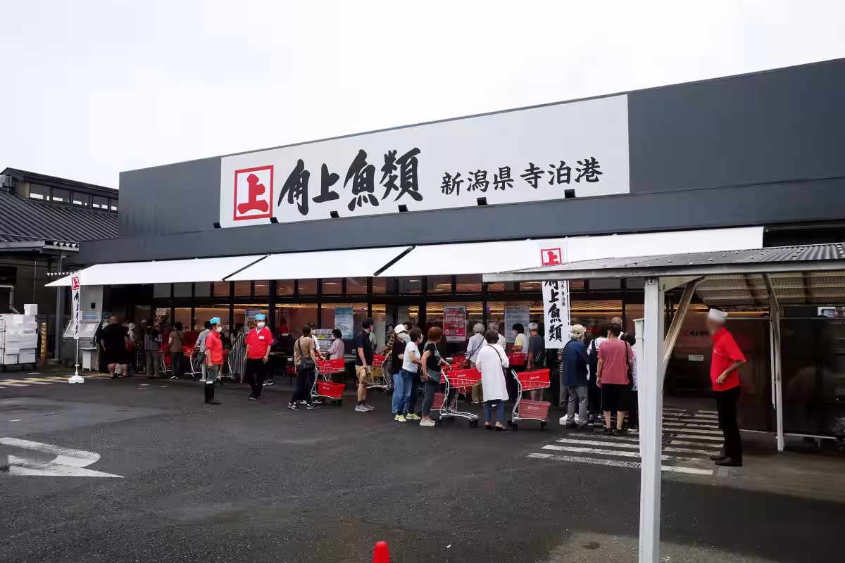 画像13