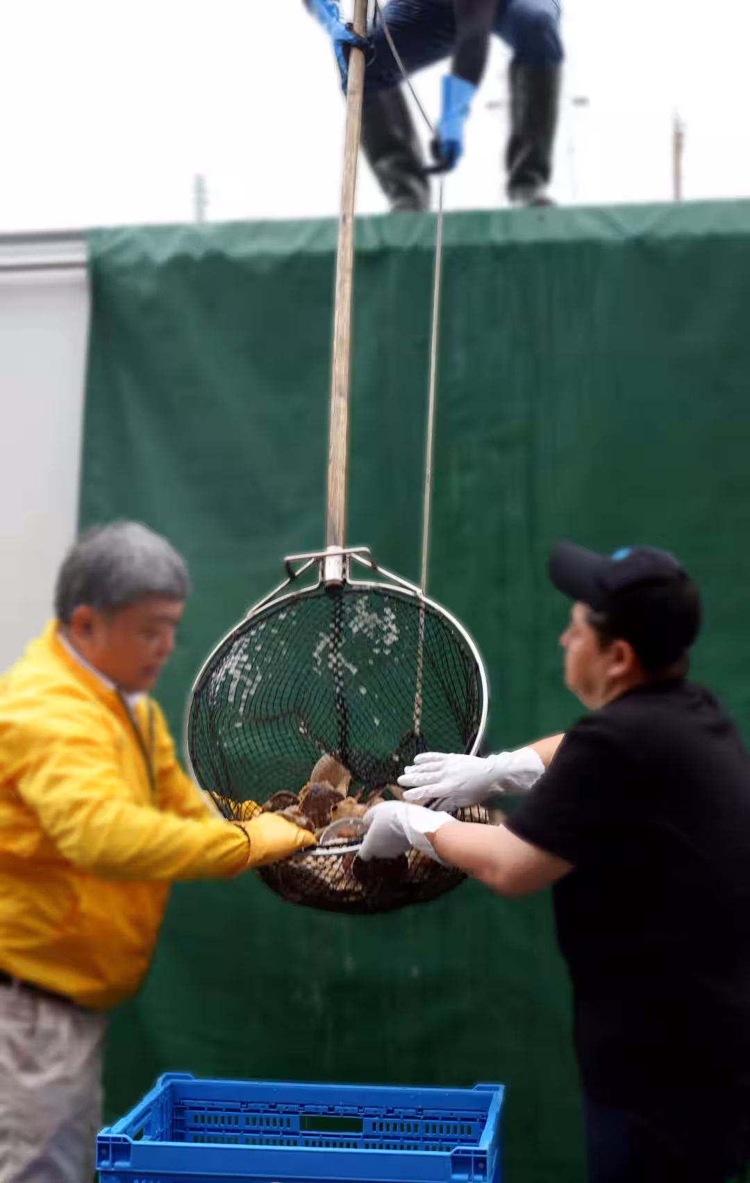 画像10