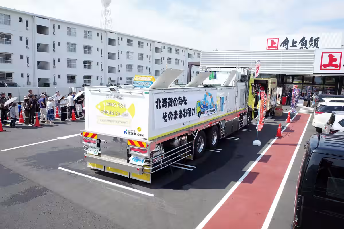 画像12