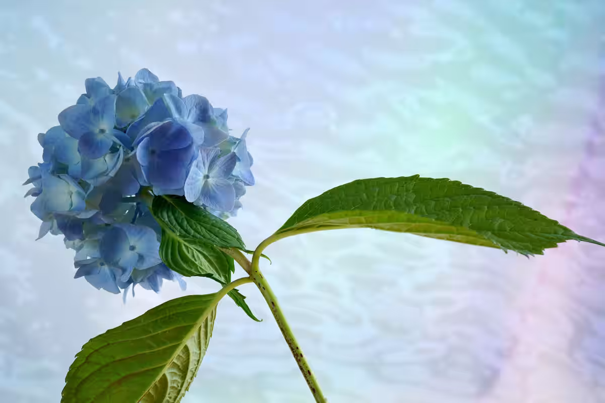 画像11