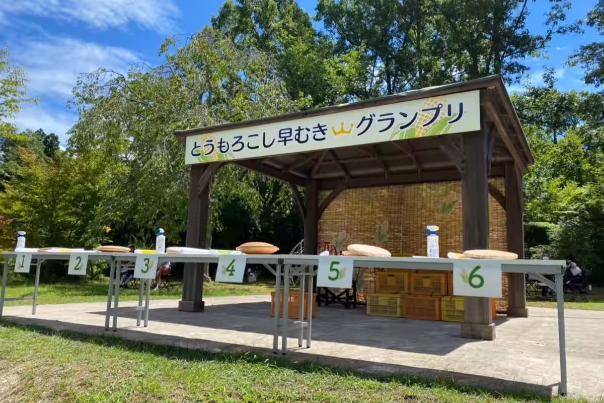 画像6