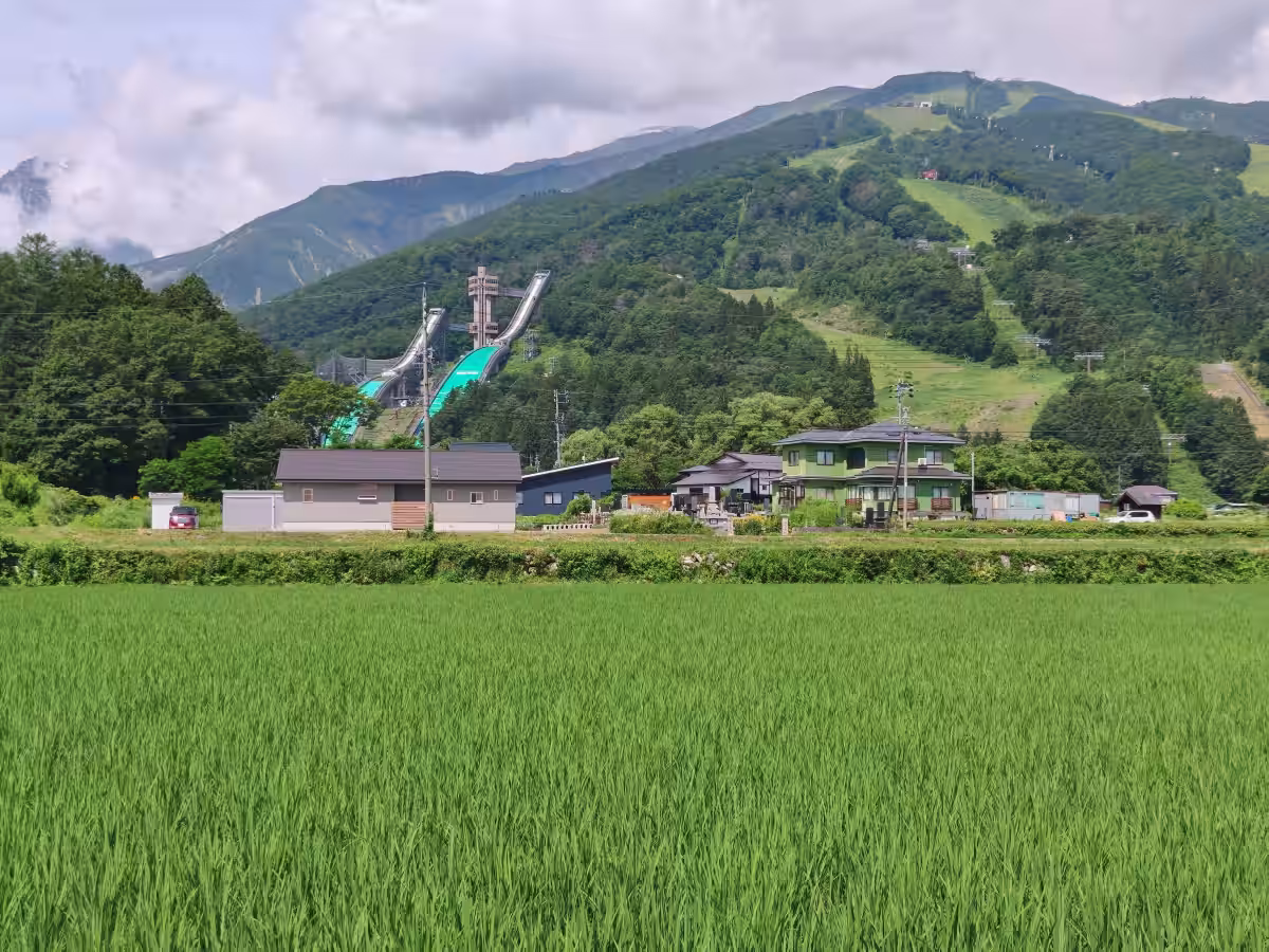 画像8