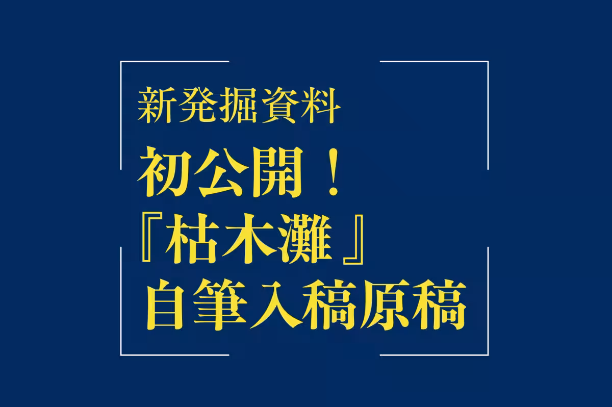 画像13