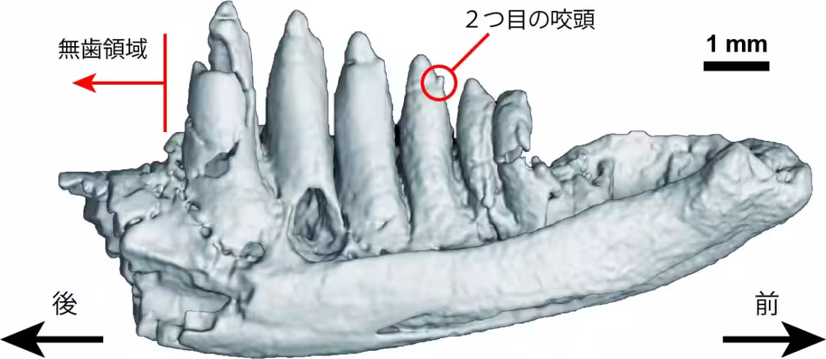 画像3