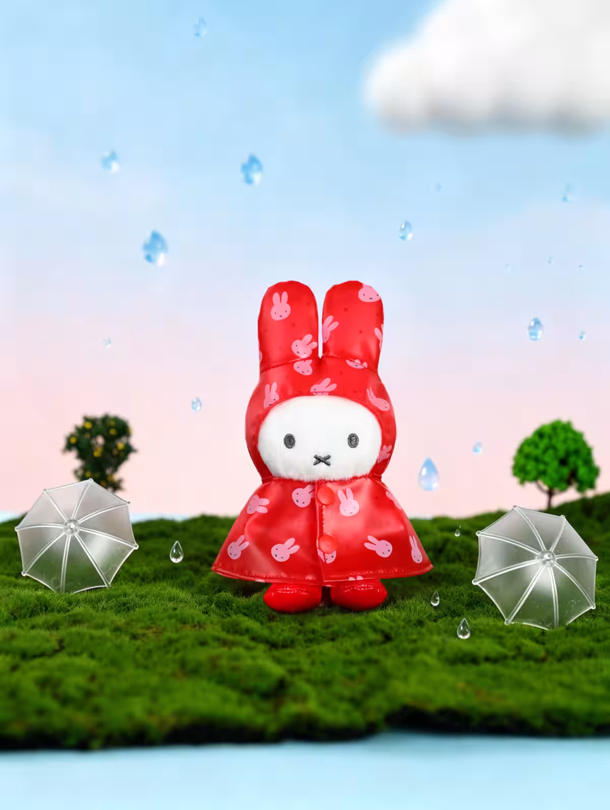 画像12