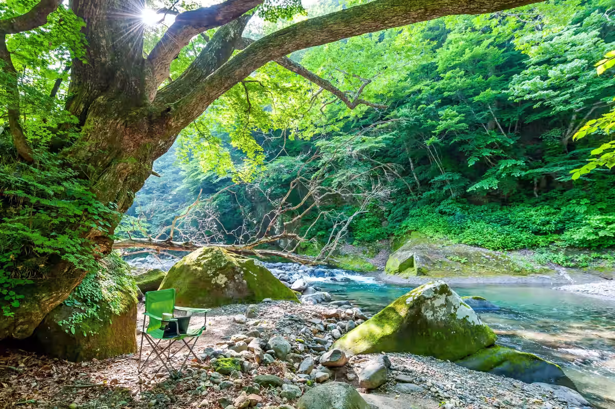 画像7
