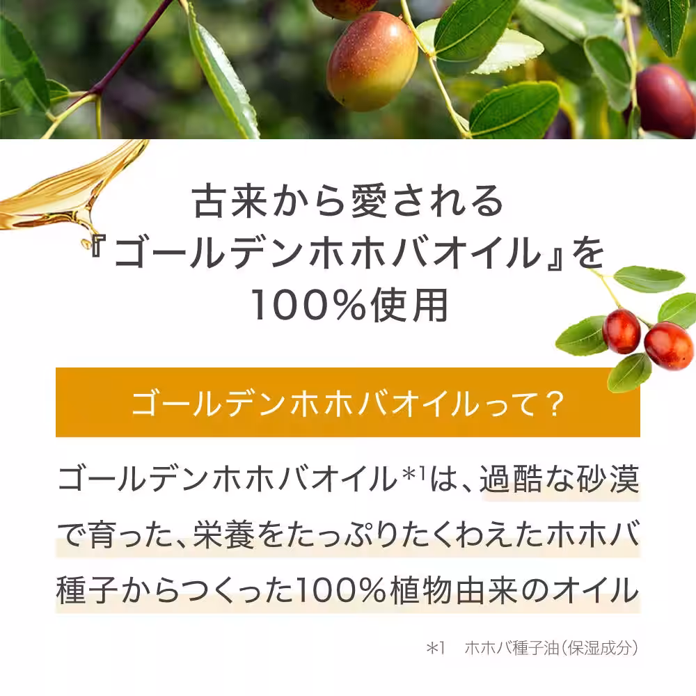 画像18