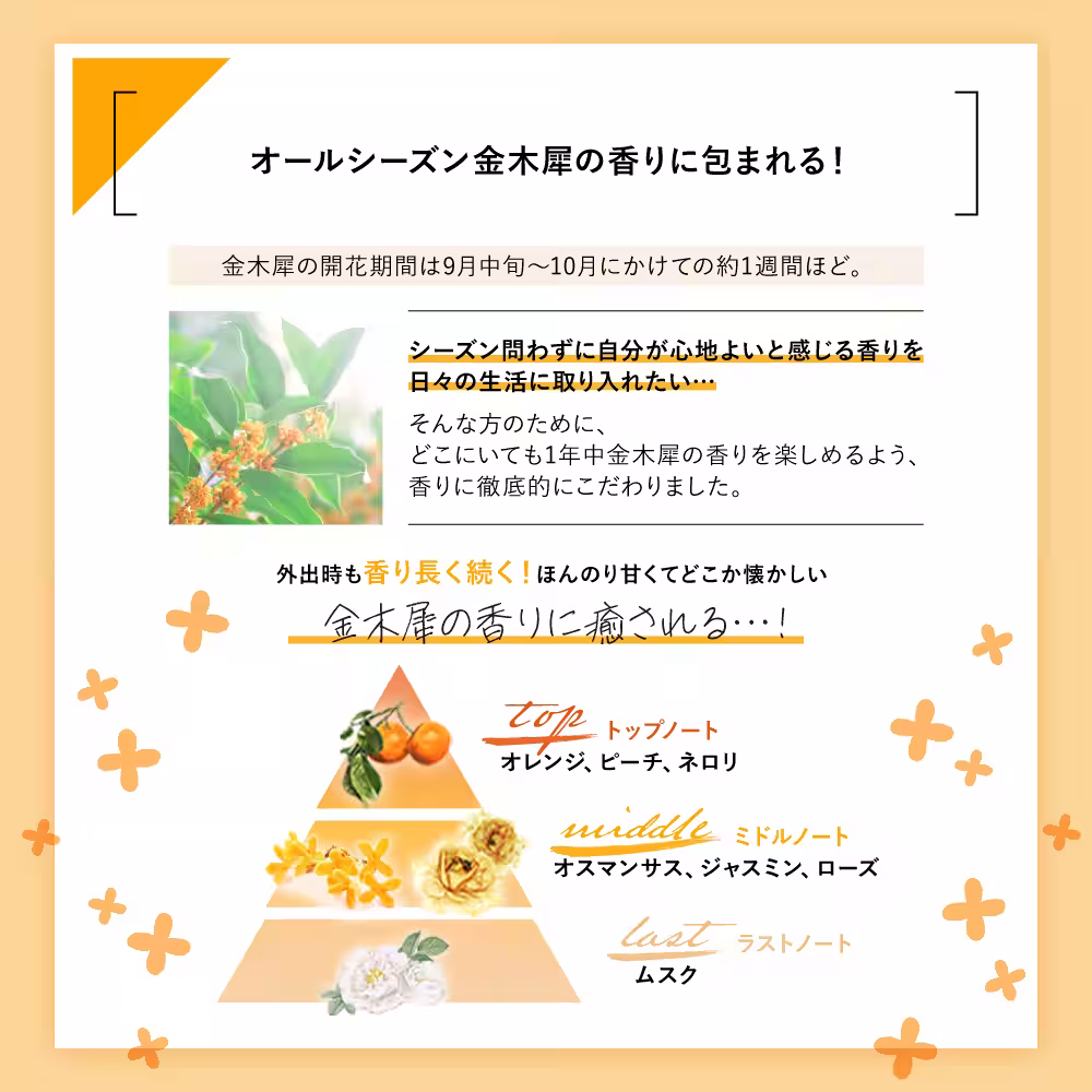 画像11