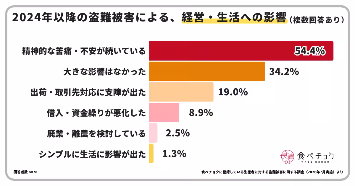 画像13