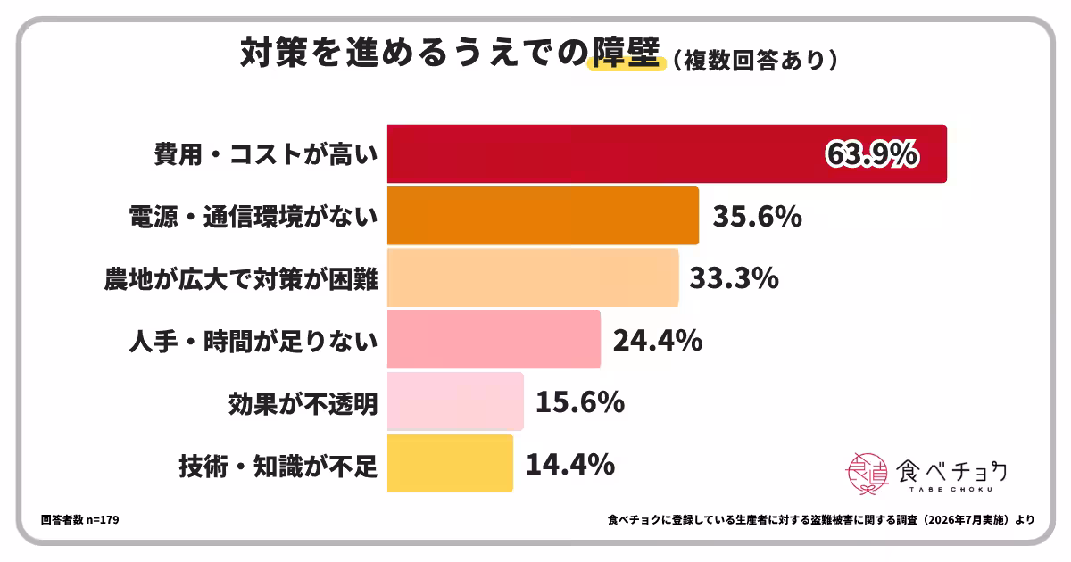 画像11