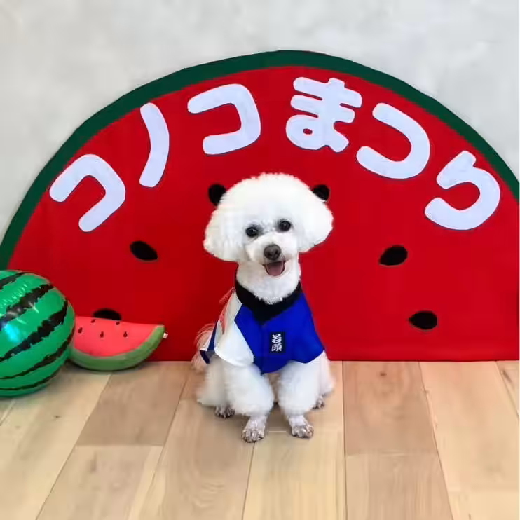 画像12