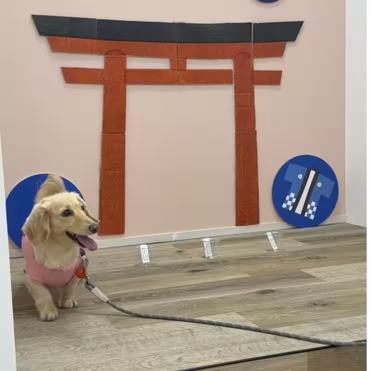 画像8