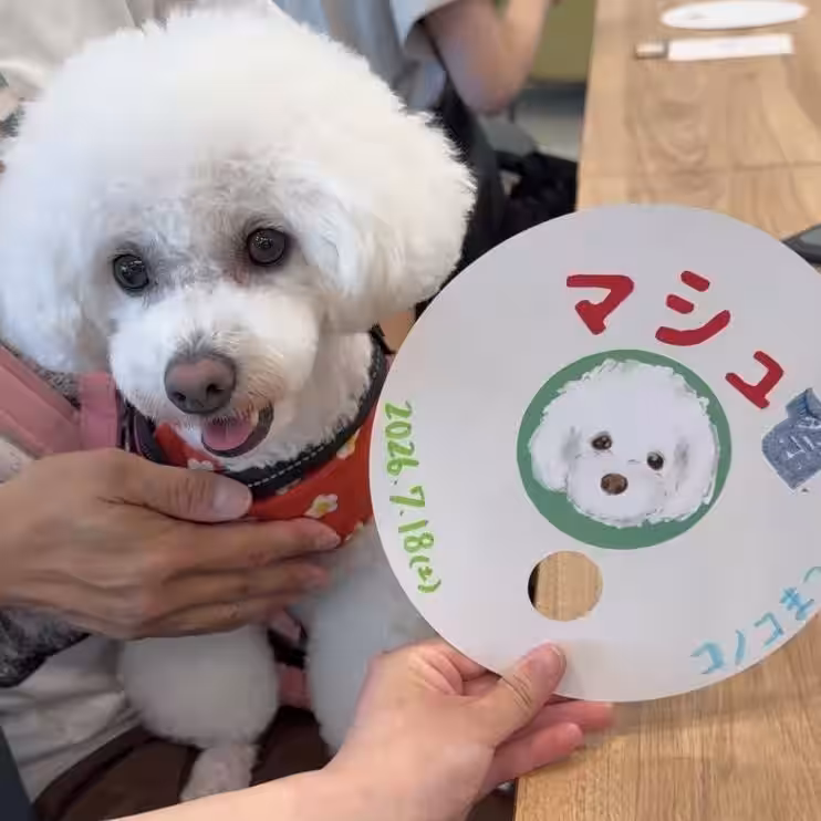 画像18