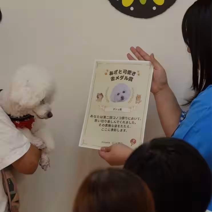 画像20