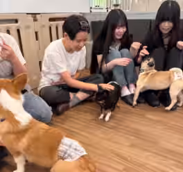 画像3