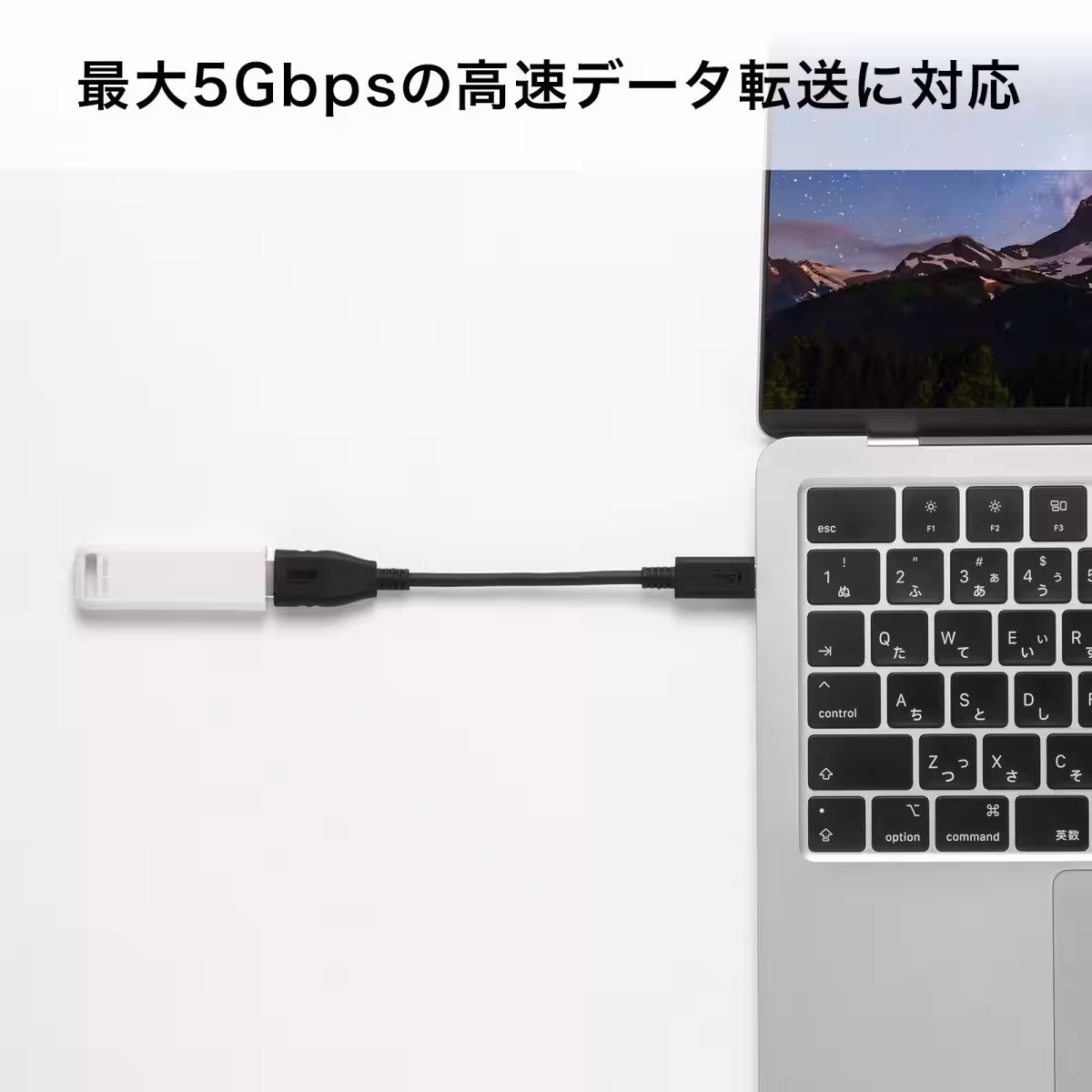 画像7