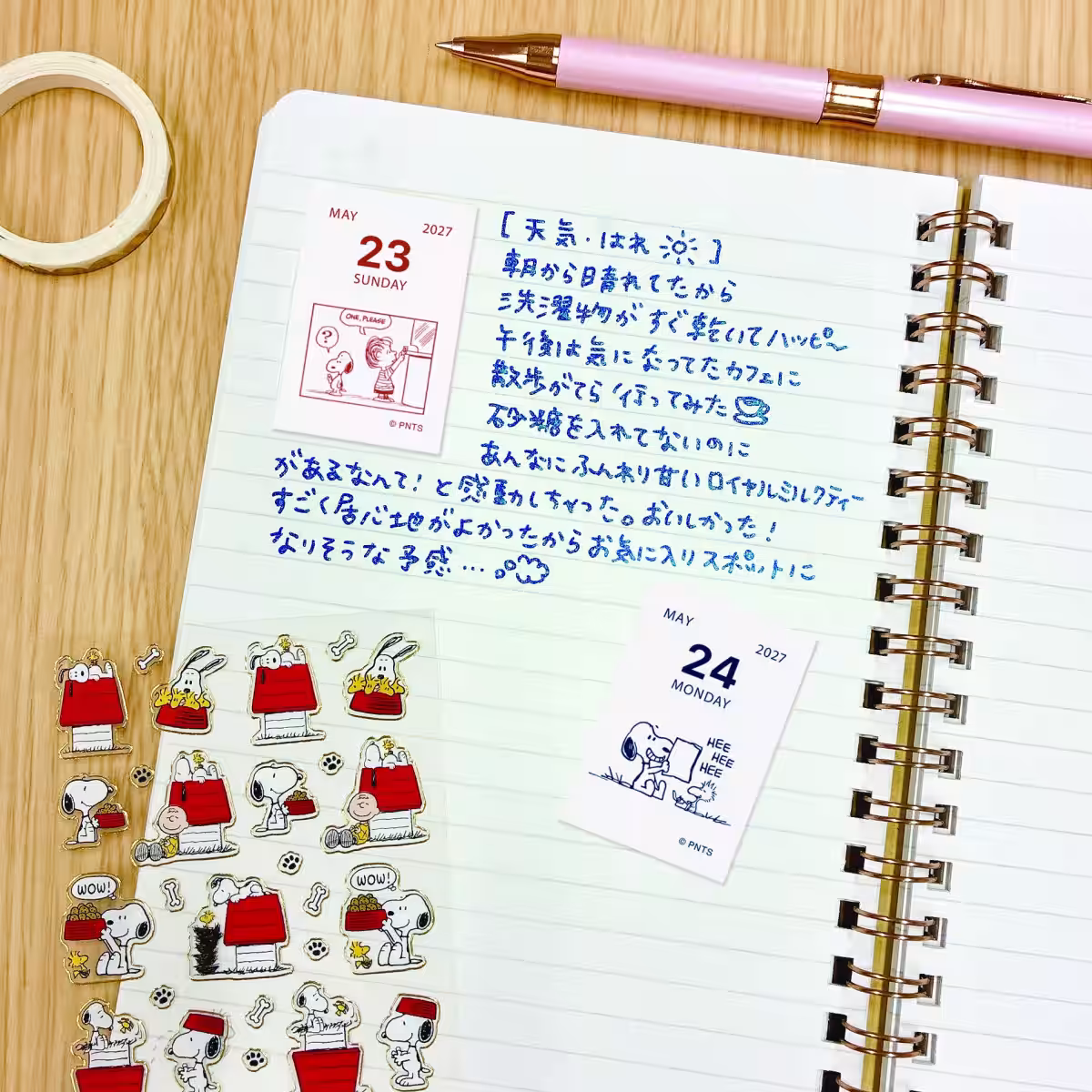画像5