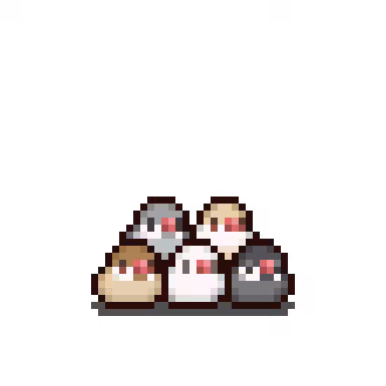 画像15