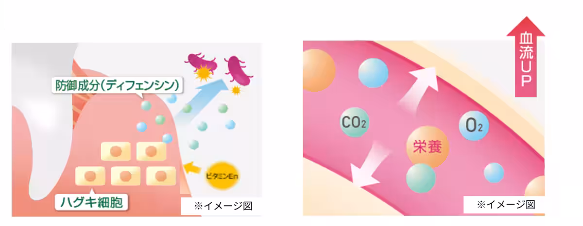 画像10