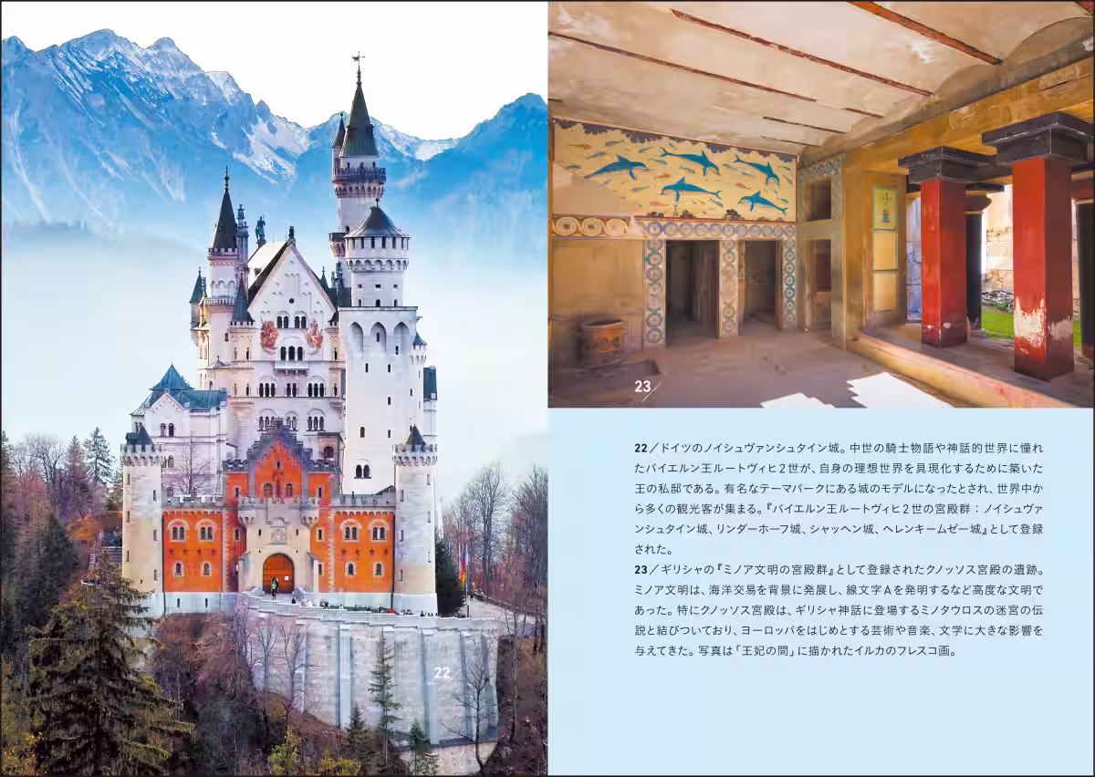 画像6
