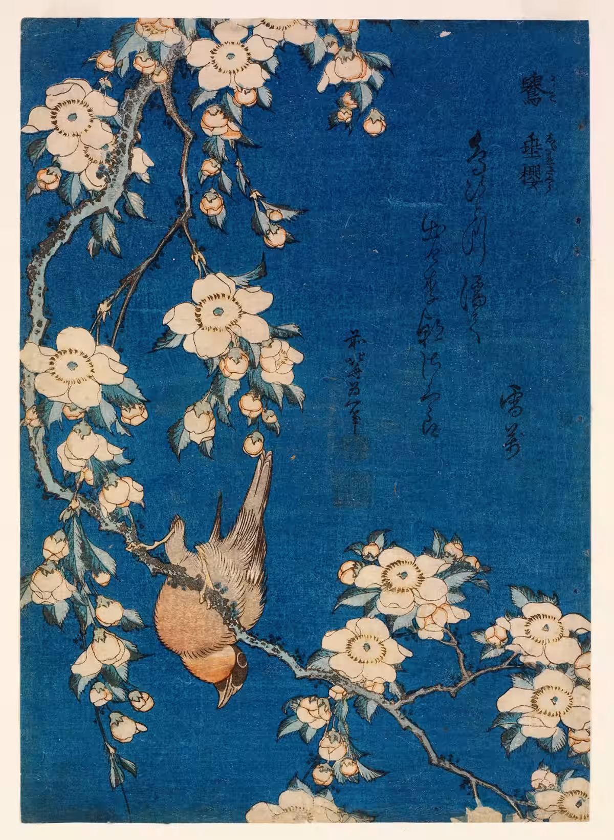 画像9