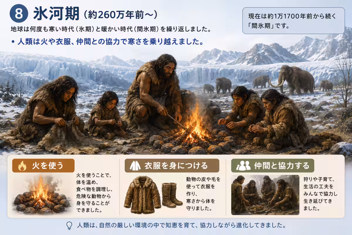 画像8