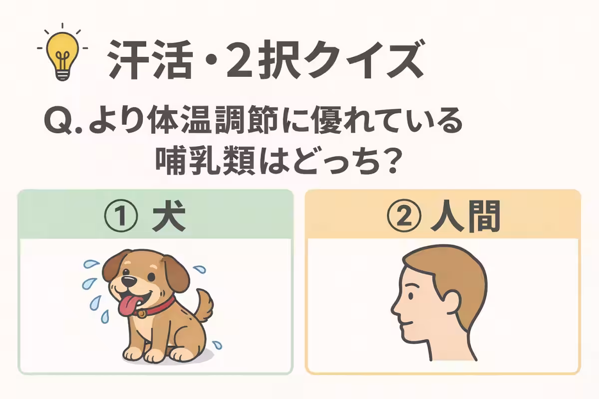 画像11