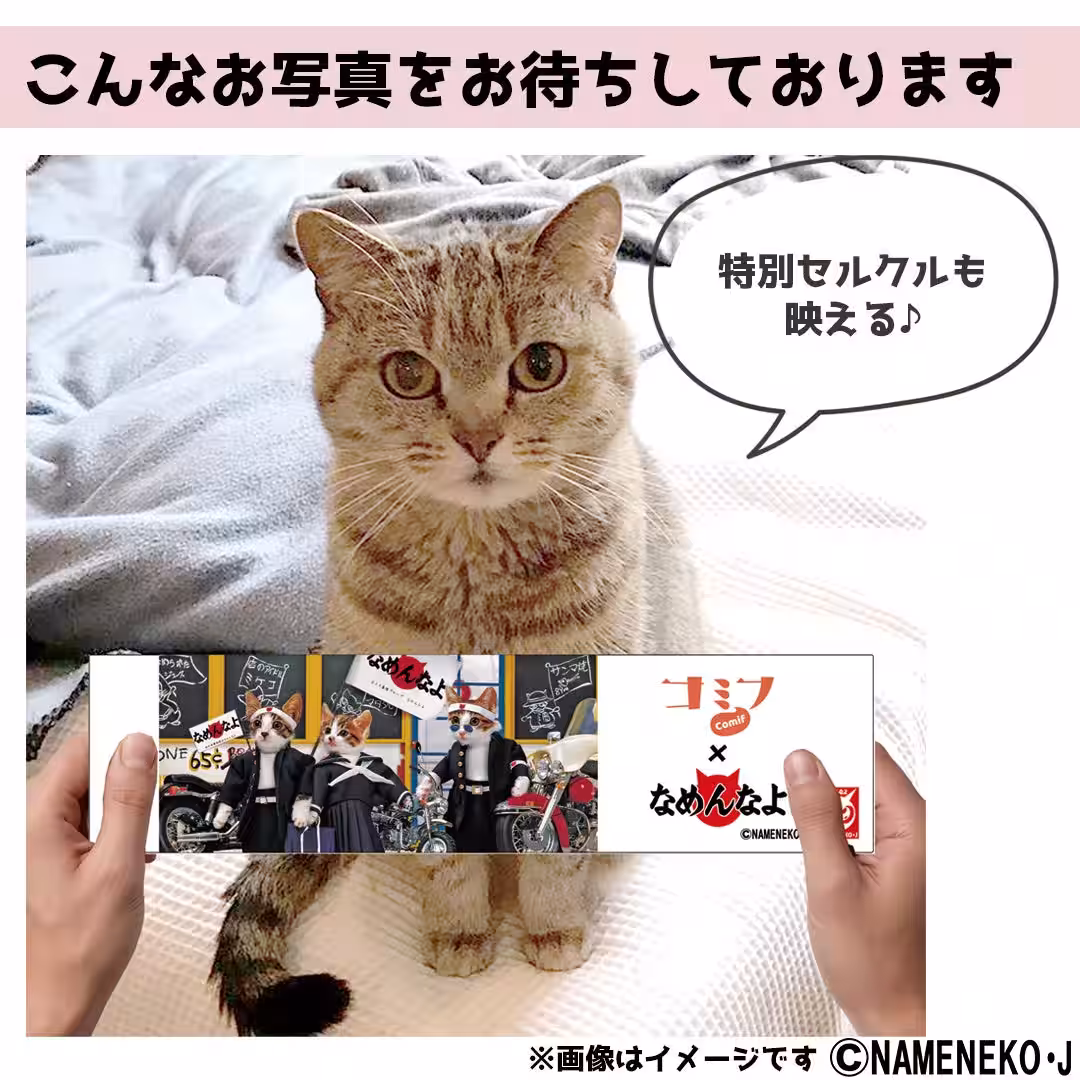 画像10