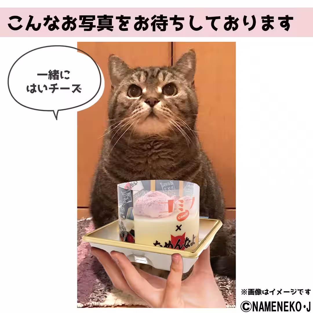 画像8