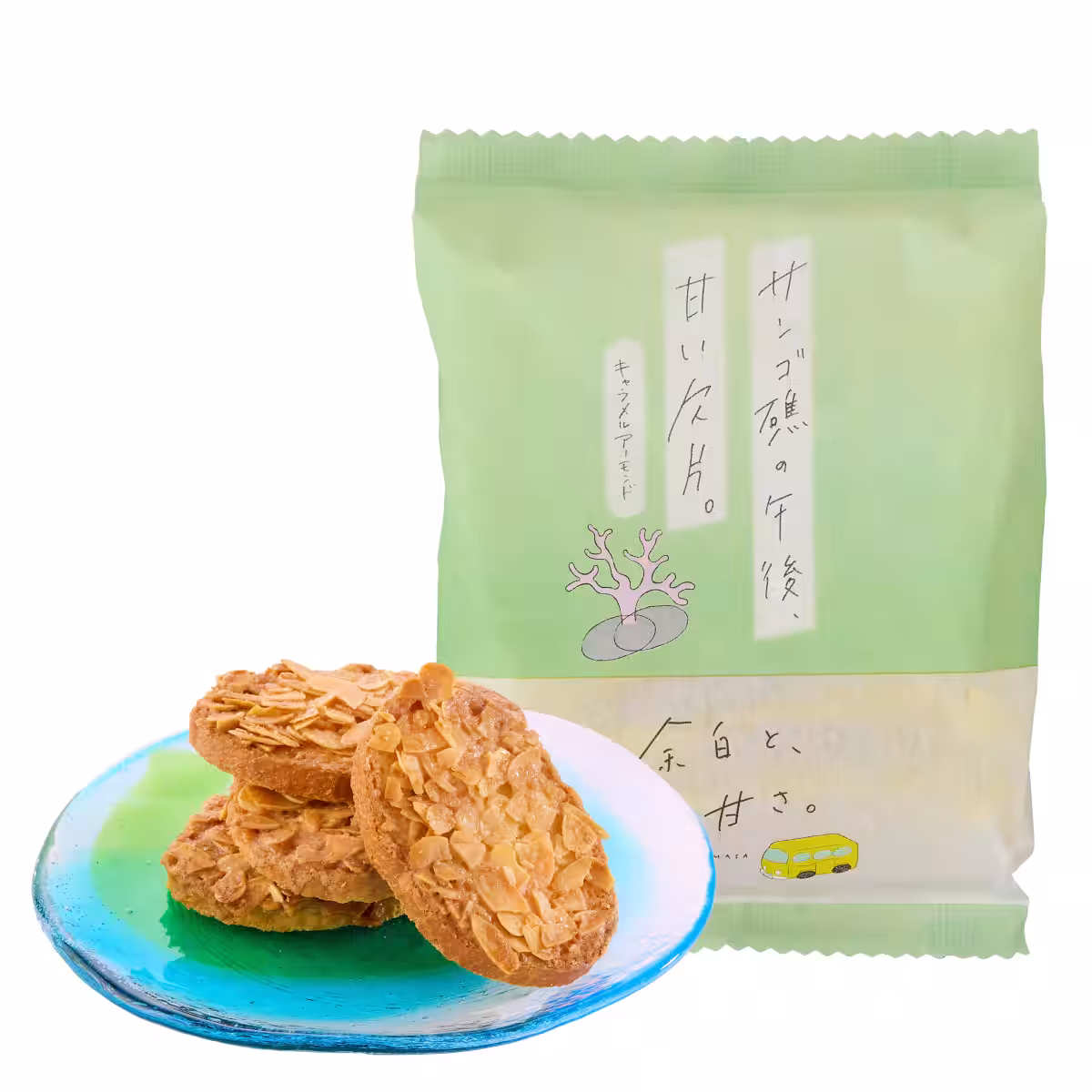 画像12