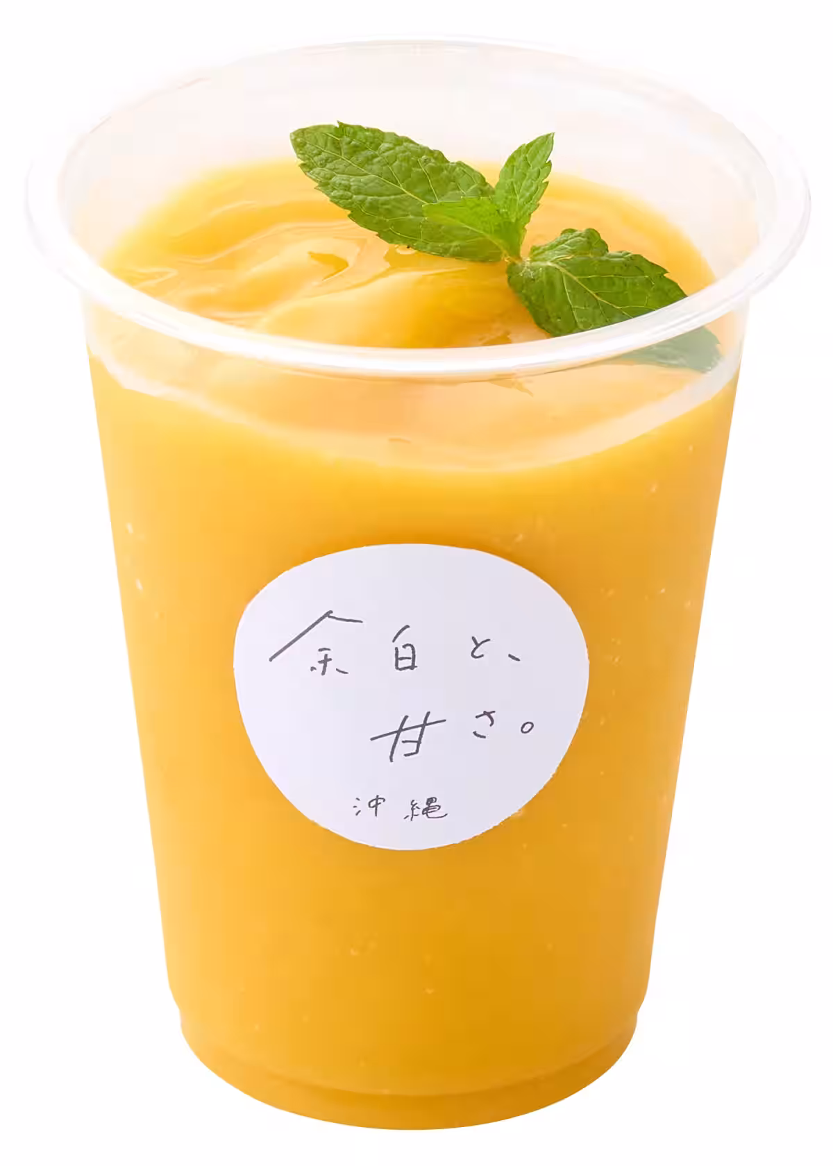 画像8