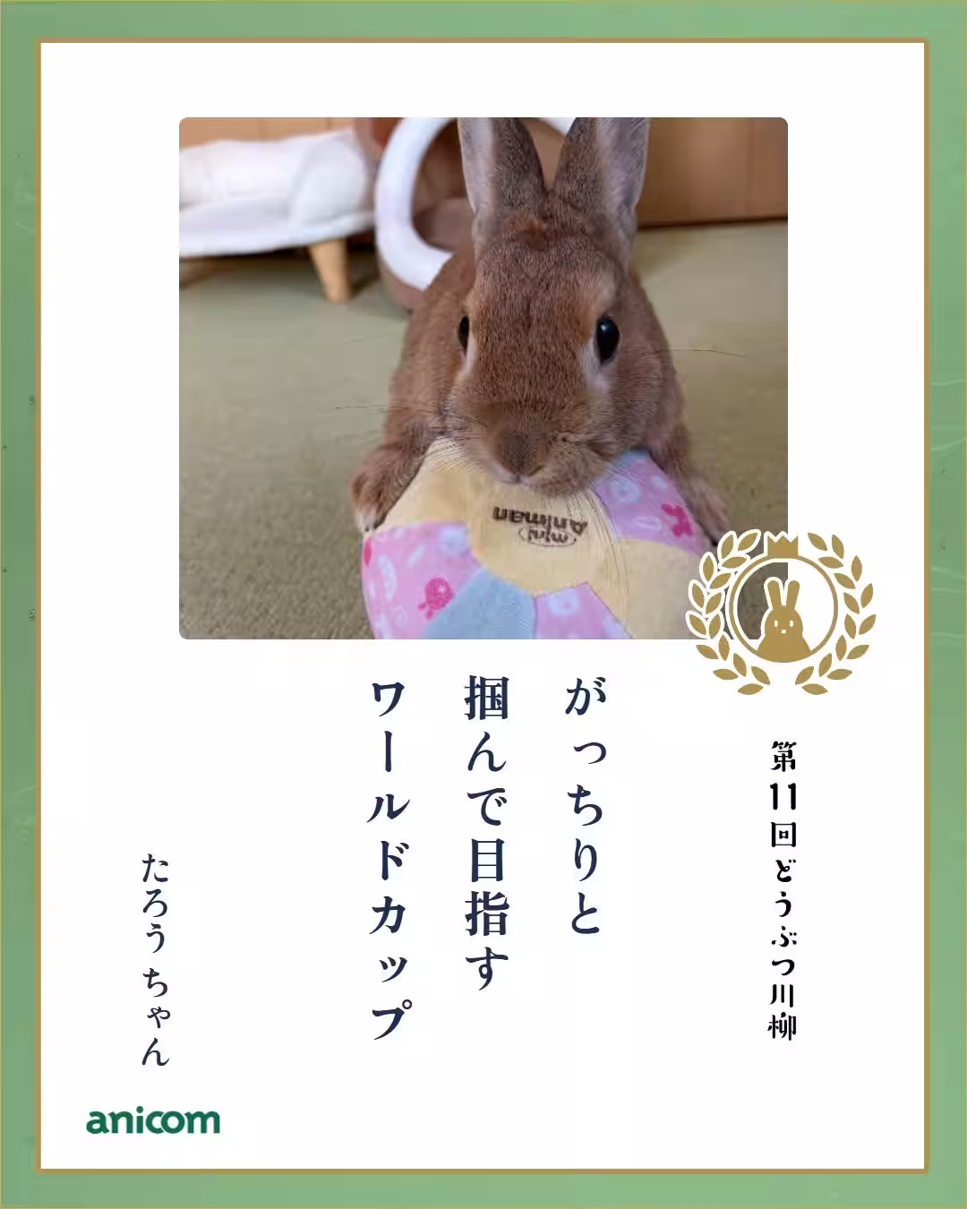 画像11