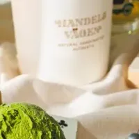 HANDELS VÄGEN新サービス