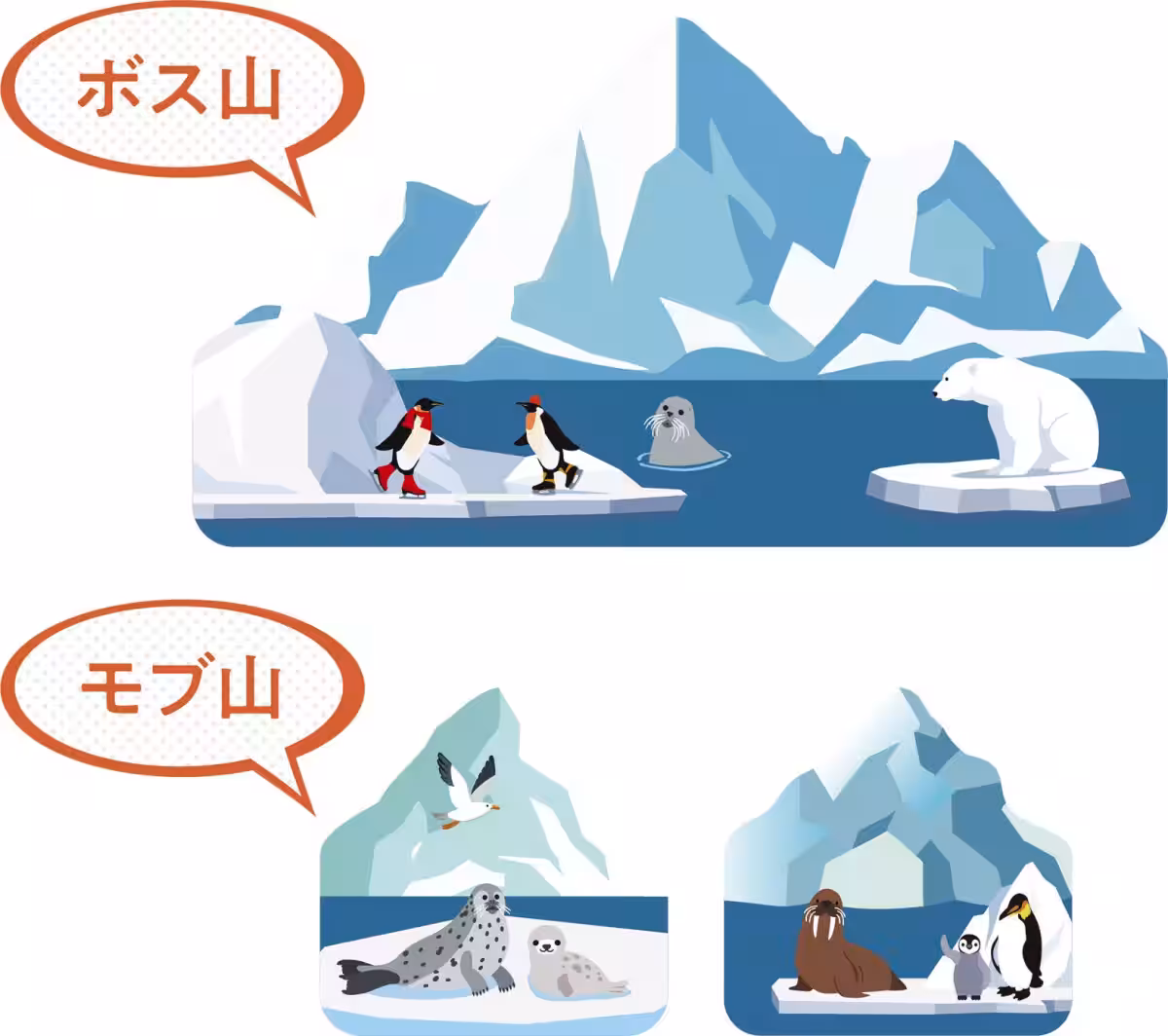 画像11