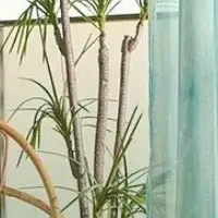 ハワイスタイルカーテン