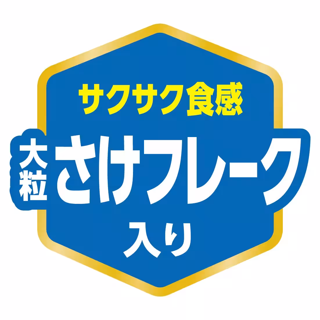 画像15