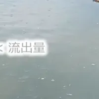 海洋ごみの回収と定量化