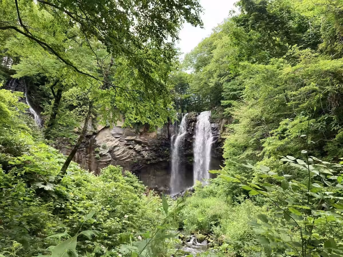 画像8