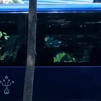 東京を走る真結