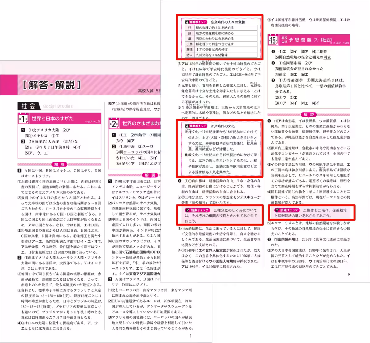 画像8