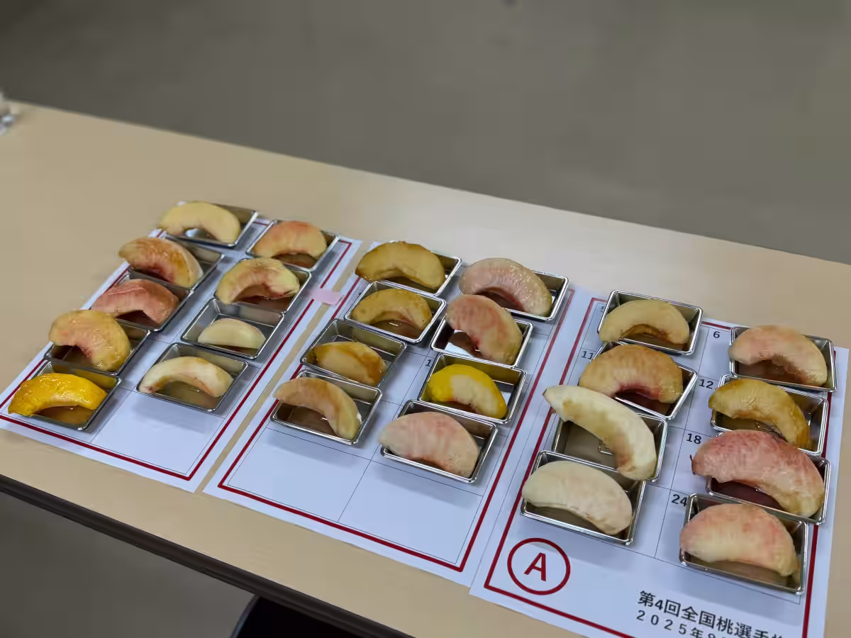 画像7