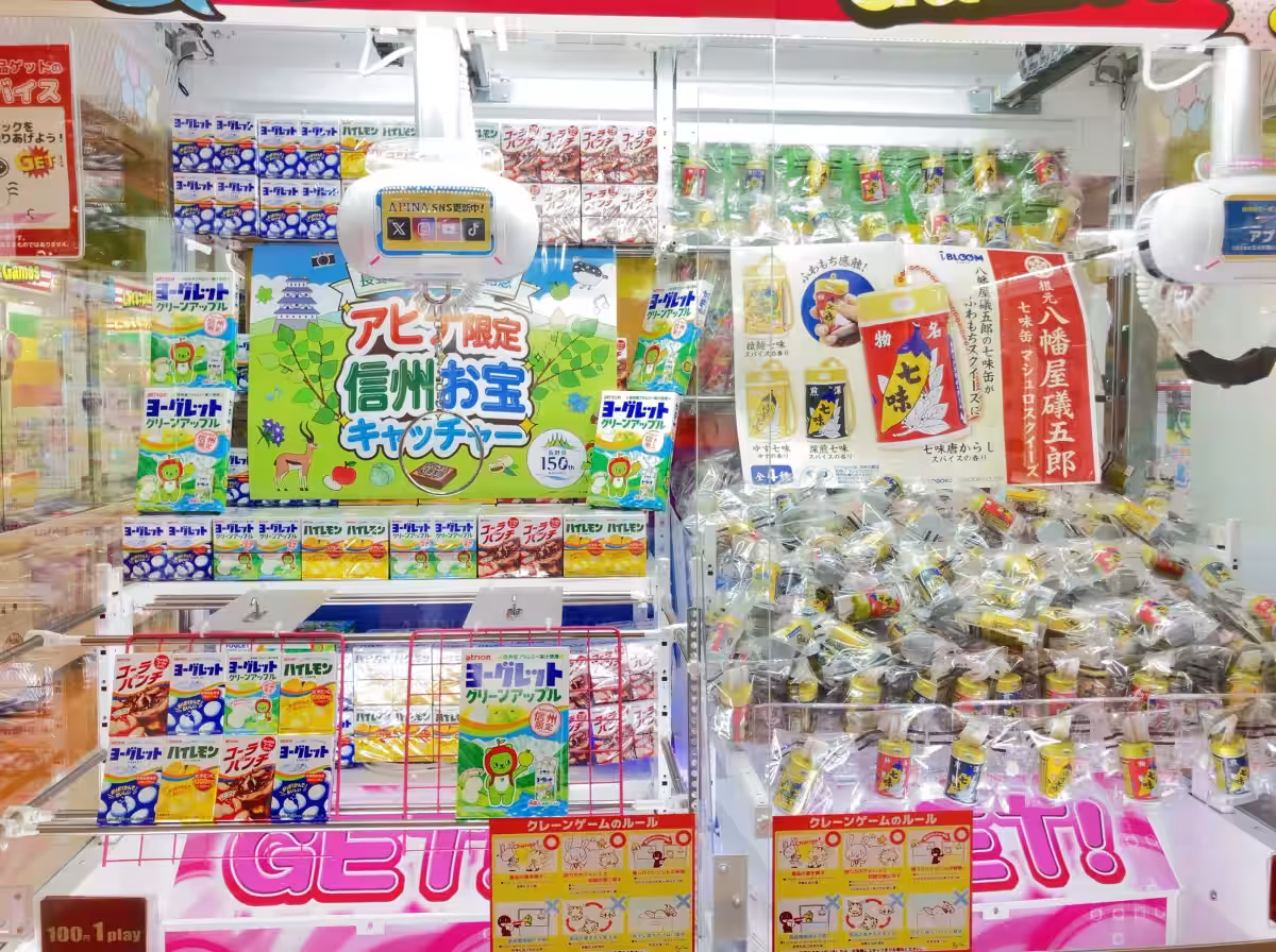 画像7