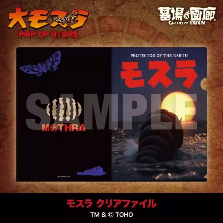 画像24